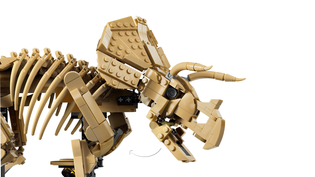 LEGO Jurassic World Dinosaur Fossils: Triceratops Set 77985