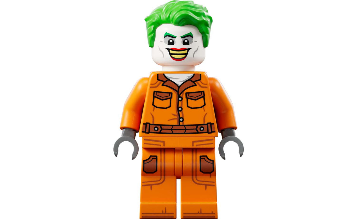 LEGO DC Arkham Asylum Set 76300
