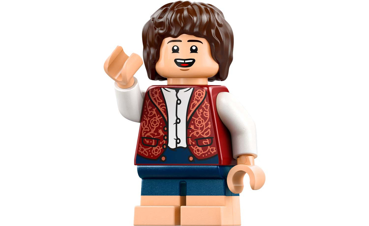 LEGO ICONS The Lord of the Rings: The Shire Set 10354