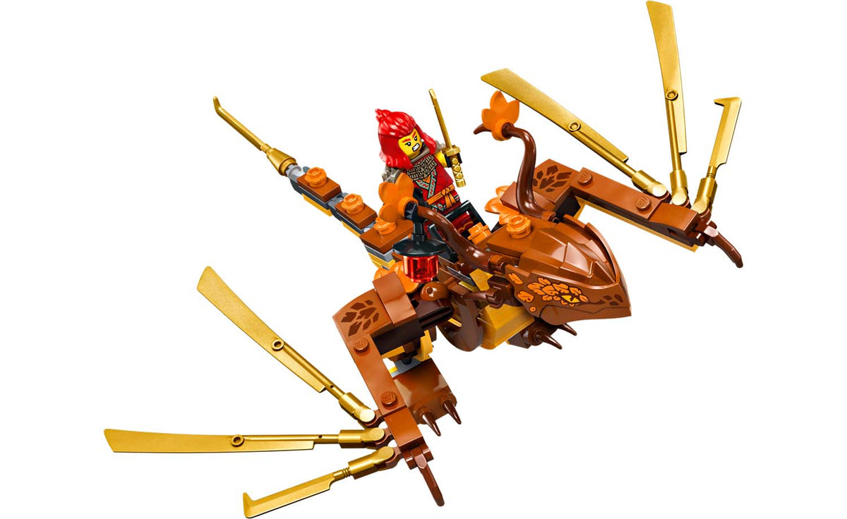 LEGO NINJAGO Tournament Temple City Set 71814